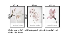 Bộ 3 Tranh Beautiful Flower-Thế giới đồ gia dụng HMD