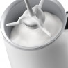 Máy tạo bọt sữa Delonghi Alicia EMF 2.W