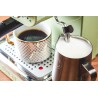 Máy pha cà phê Expresso Swan Retro SK22110